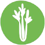 Celery